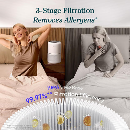 Breathe Easy Air Purifier