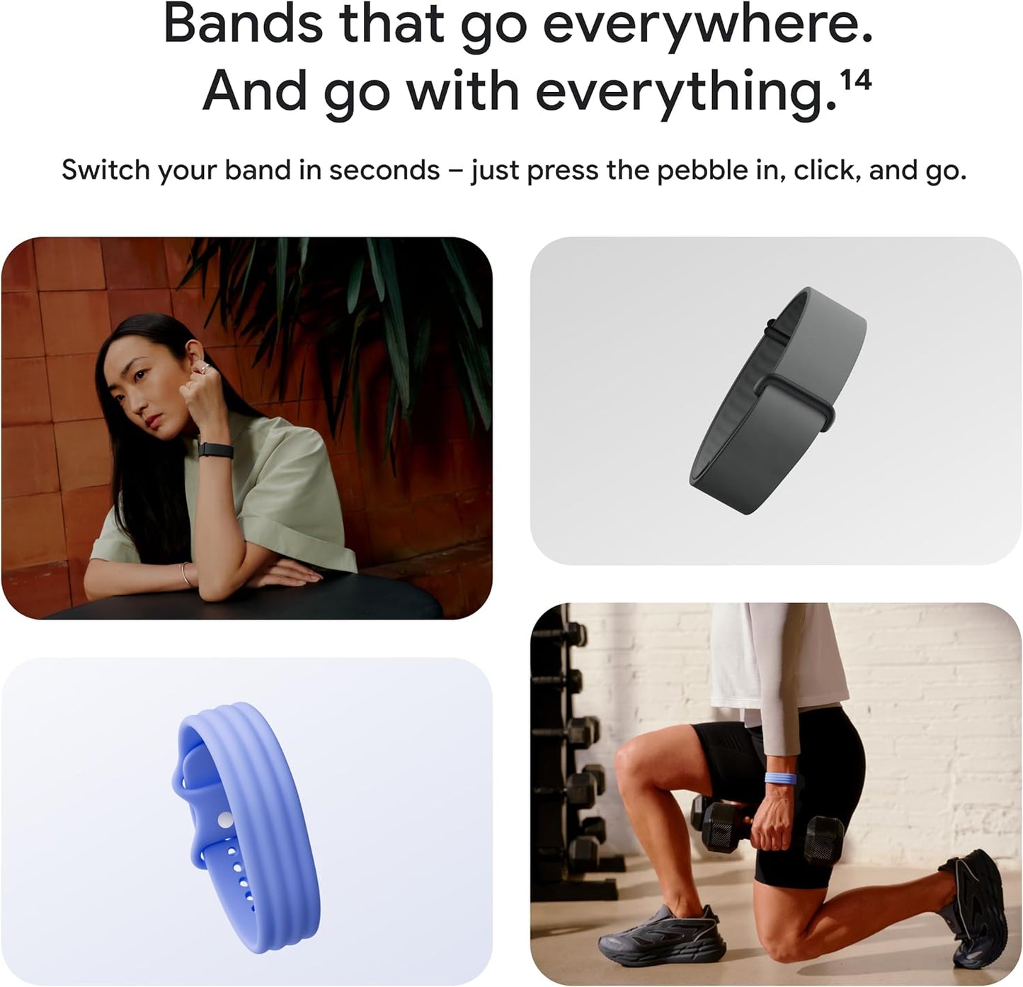 Fitbit Air Wellness Tracker