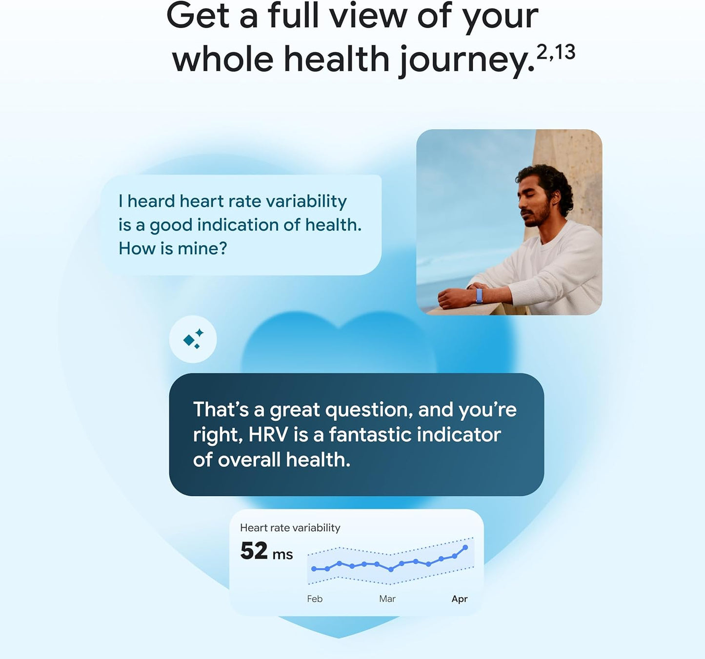 Fitbit Air Wellness Tracker