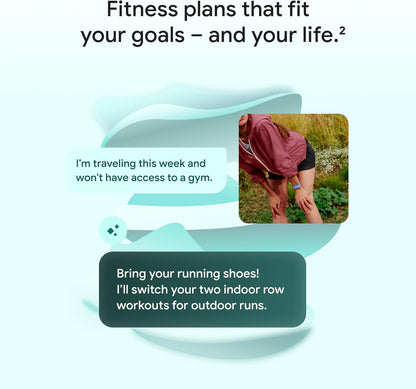 Fitbit Air Wellness Tracker